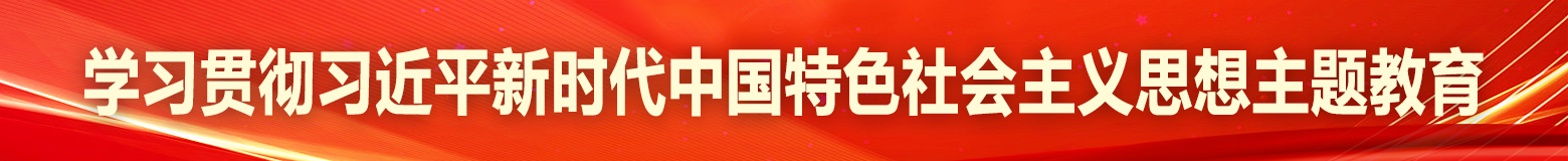 学习贯彻习近平新时代中国特色社会主义思想主题教育